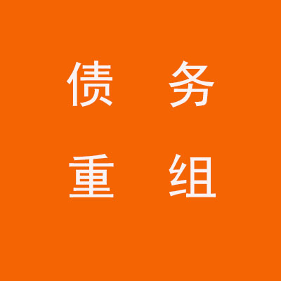 桃山个人债务重组优化